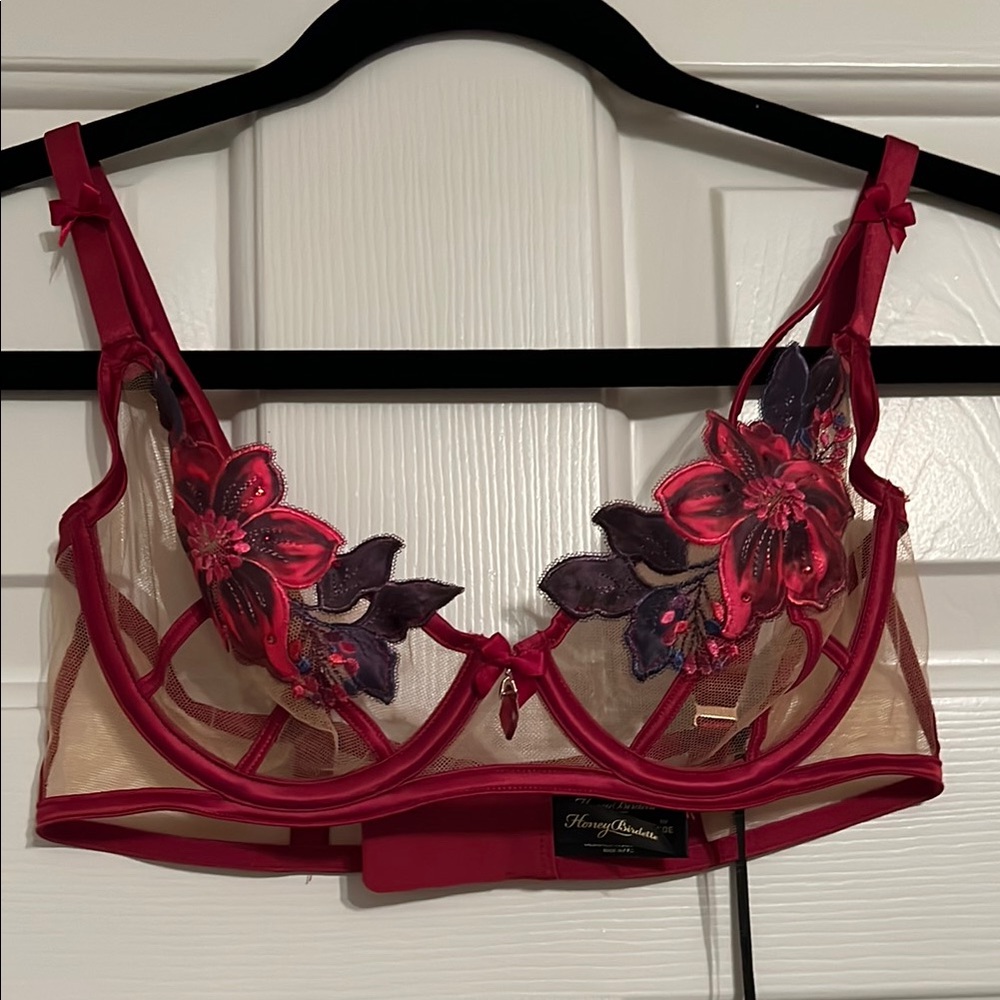 NWT Honey Birdette Floral Embroidered Bra in Red and Purple